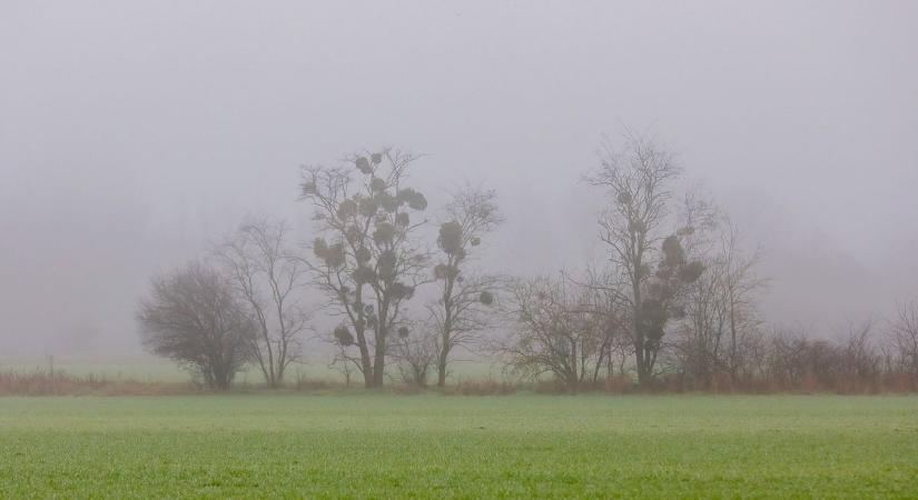 Az egészségünkre is rossz hatással lesz az időjárás - szakértőt kérdeztünk