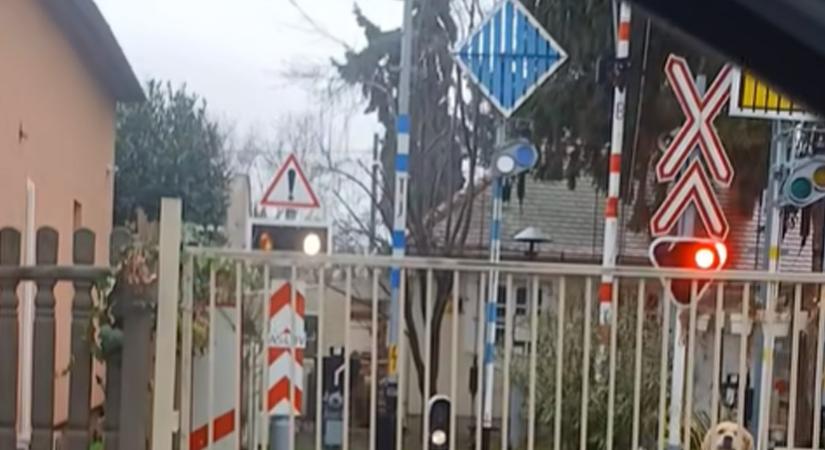 A sashalmi bácsinál senkinek nincs menőbb ünnepi világítása