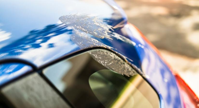 Madárürülék a kocsin: furcsa összefüggésekre derült fény