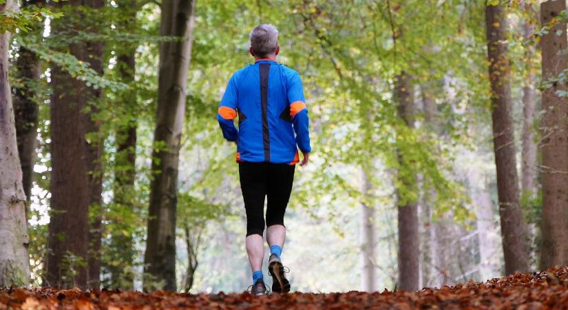 Gyorsabban fog öregedni az agya, ha így él