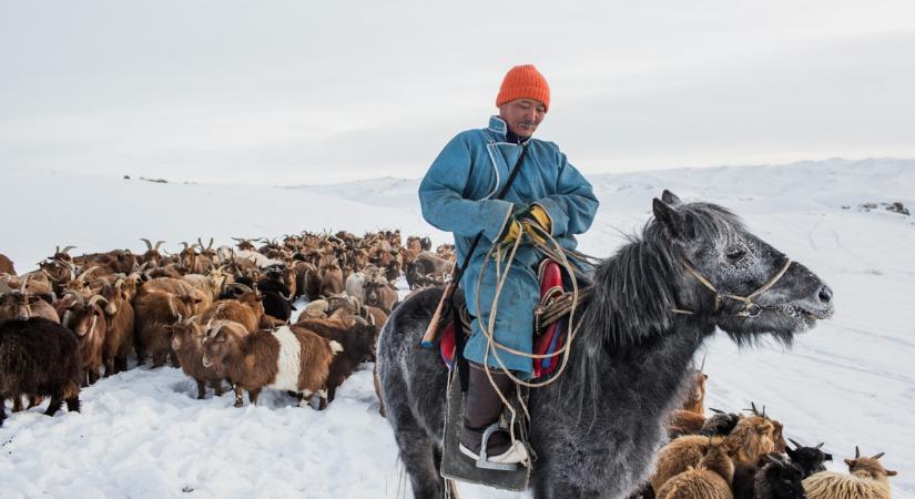 Ha te fáztál ma reggel, akkor mit mondjanak a nyugat-mongóliaiak?