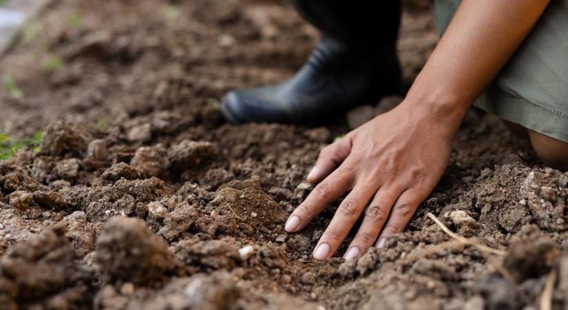 Ezt mindenkinek tudnia kell: így lehetnek sikeresek a magyar termelők