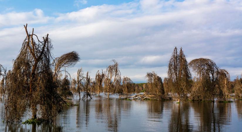 Egy ilyen van csak az egész világon, egyedül Magyarországon található a tó, amelynek sétálhatsz a tetején száraz lábbal