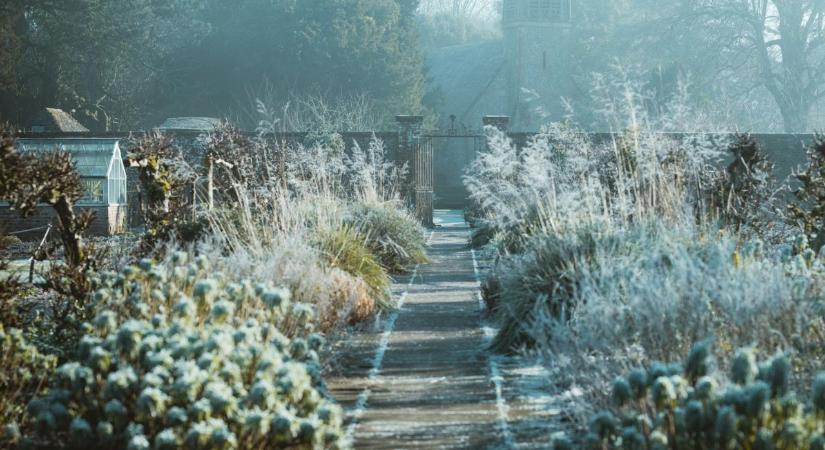 Így készítsd fel a kertedet a télre – 5 egyszerű, de hatékony tipp