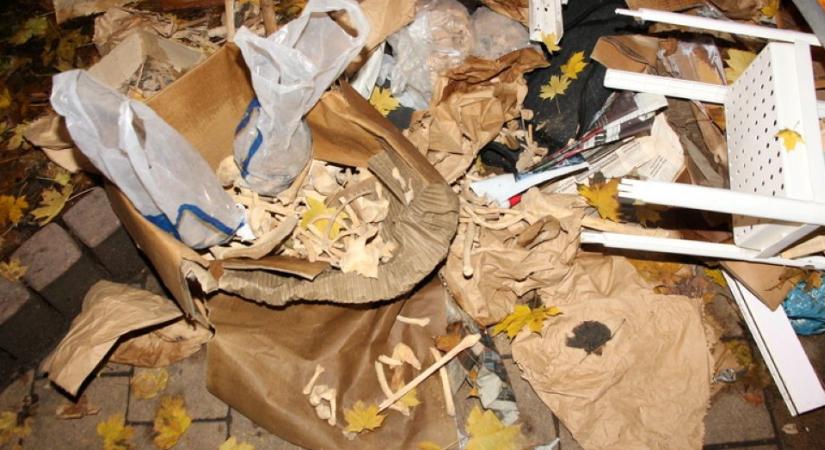 Fotó: Több doboznyi emberi csontot dobtak ki a ferencvárosi lomtalanításkor