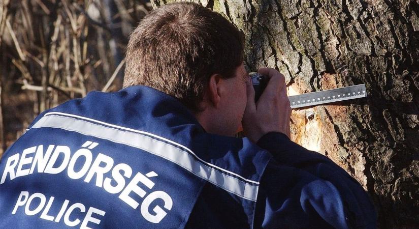 Mi történhetett? Eltűnt egy 13 éves pécsi kislány, a rendőrség is keresi