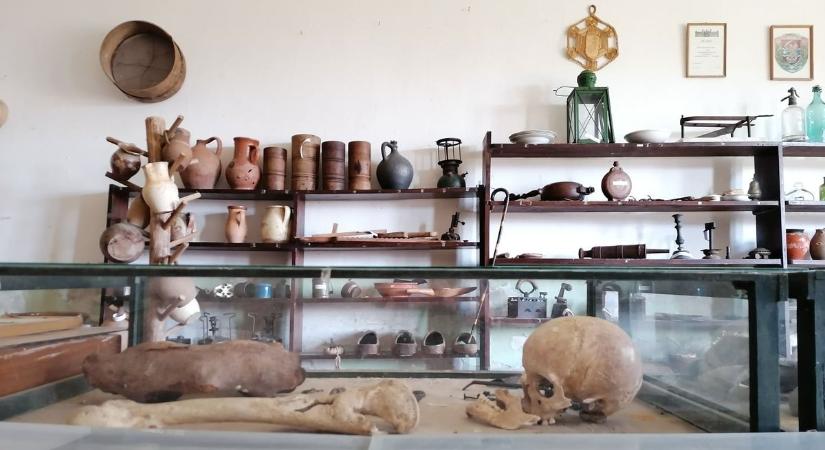 Leperegnek a titkok a vakolattal: a falra tett orrszarvúfeje elárulja a magára hagyott épületet