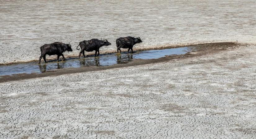 Épphogy nulla fölötti eddig az idei GDP-növekedésünk, csak az év utolsó hetei segíthetnek