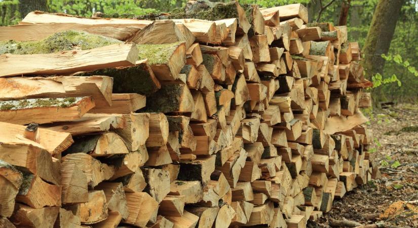 Le is szállítják a téli tüzelőt a nyugat-mecseki faluban