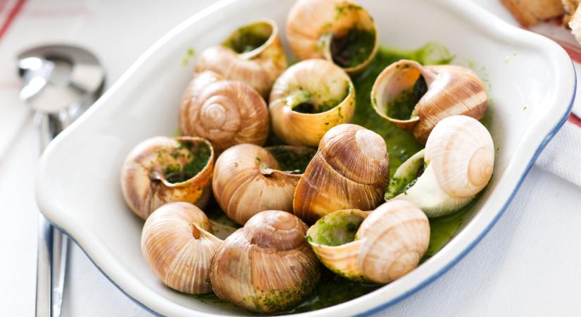 Brutális rablás: több millió forintnyi állatot loptak el egy tenyésztőtől