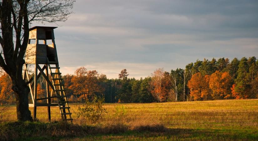 Vádat emeltek egy vendégvadász ellen, aki rálőtt egy túrázóra a Bükkben