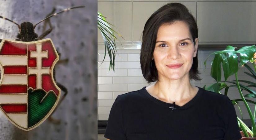 Itt a vége, Pottyondy Edina elsöprő bejelentést tett, a 2026-os választások állnak a háttérben