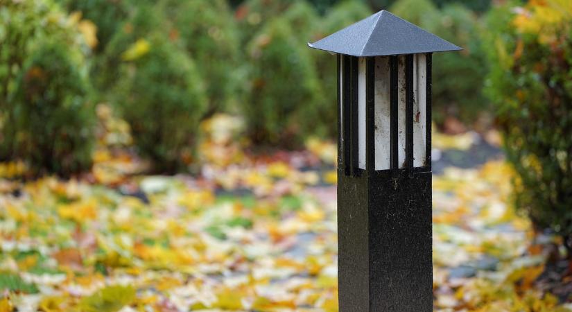 Természetvédelmi kincsek bújnak meg a városok határain belül