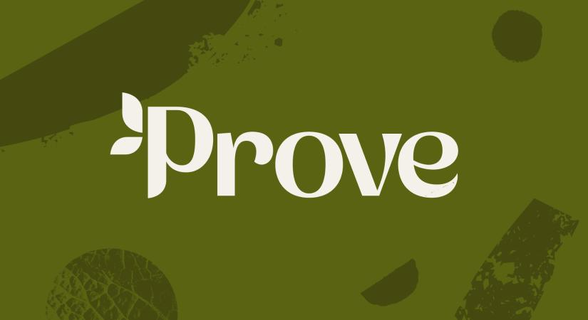 Teljes arculatváltás a Prove életmódmagazinnál