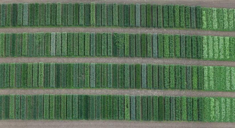 Már stabilan 300 ezer hektár fölött az ökoterület nagysága