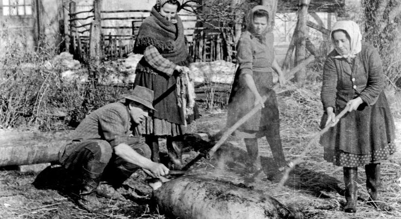 Lopott férfigatya a párna alatt és leölt disznó csöcsbimbói a disznóólban – bizarr népszokások Zalából