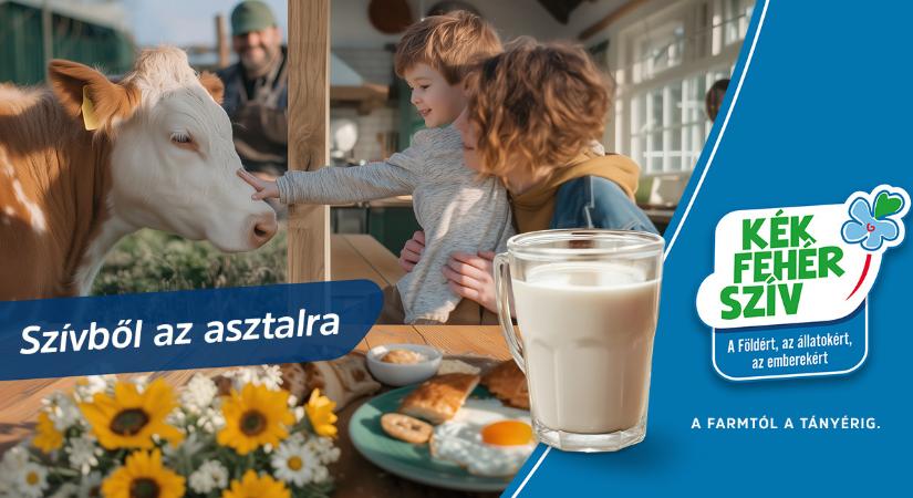 Egy logó, amit érdemes keresni a boltban