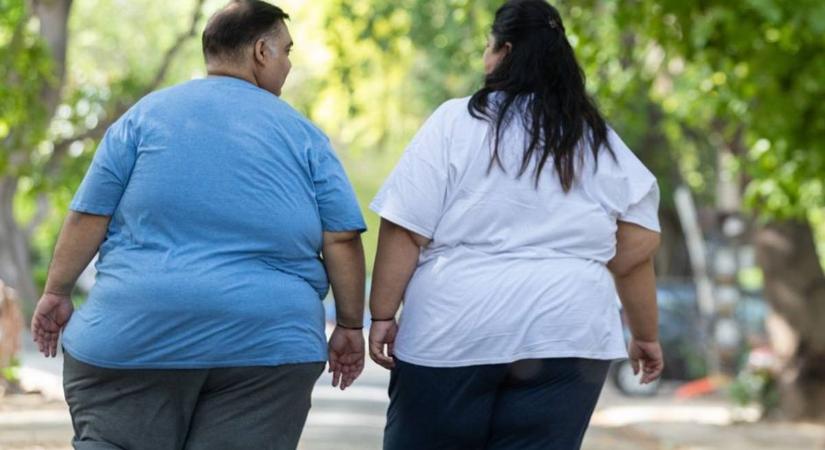 Először adott ki ajánlást az elhízás gyógyszeres kezeléséről a WHO