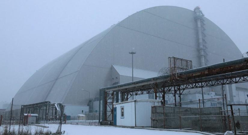 Ez a csernobili gomba imádja a sugárzást