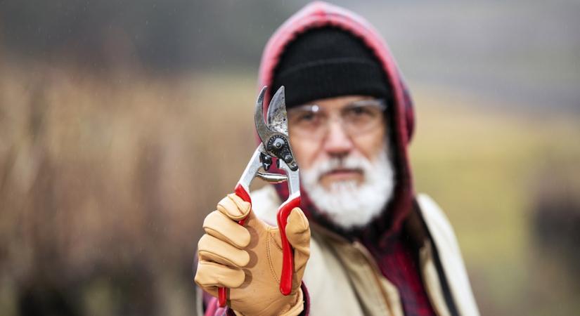 Kerti szerszámok, amelyek télen eltűnnek – és tavasszal váratlan helyeken bukkannak elő