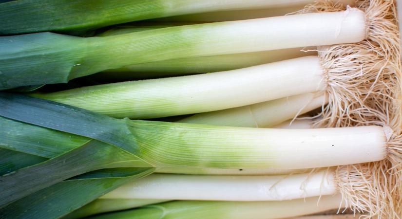 Annyira sok a termés, hogy megteltek a tárolók: mi lesz így az áruval?