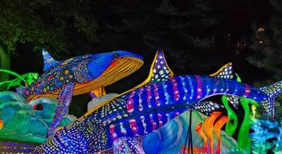 Több száz színes lampionnal vár a Világ Állatai Lampionfesztivál az Állatkertben