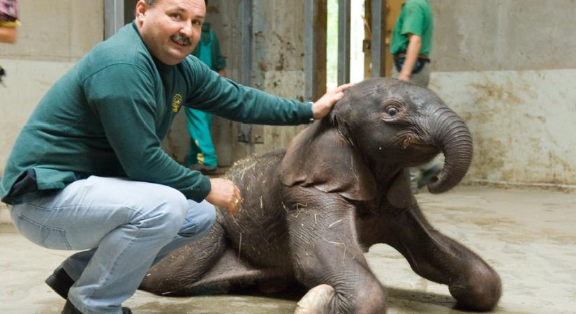 Magyar Péter nekiment Lázár Jánosnak Gajdos László védelmében