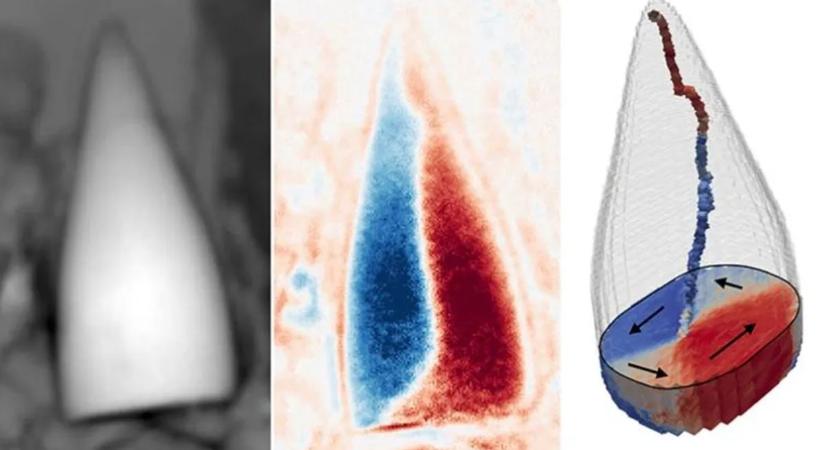 Mágneses helymeghatározó rendszert találtak ősi állati fosszíliákban