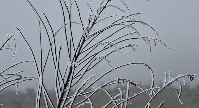 Zúzmarával vonta be a hidegpárna Dobogókőt és Nagy-Hideg-hegyet