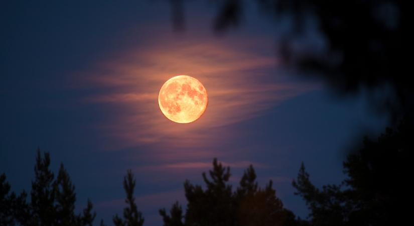 Nem semmi, ami Magyarországon történt: ilyet is ritkán látni