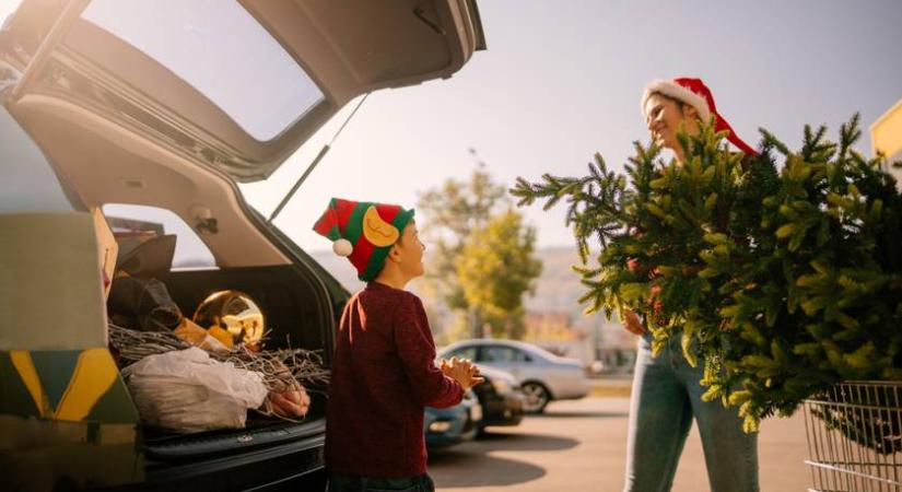Bírságot kockáztatsz, ha így szállítod a karácsonyfát