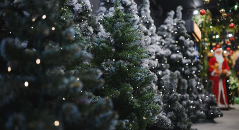 Ezen a településen egy fillérbe sem kerül a karácsonyfa a családoknak
