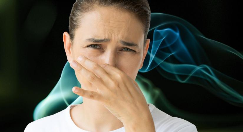 A jellegzetes szagú bélgáz 37%-kal csökkentheti az Alzheimer-kockázatot