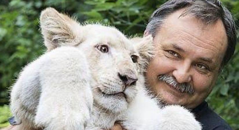 Gajdos László: "A támadásokkal nem érdemes foglalkozni!"