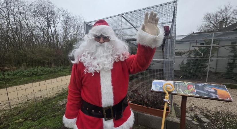 Lovashintón érkezik a Mikulás a Zámolyi Madárparkba (videóval)