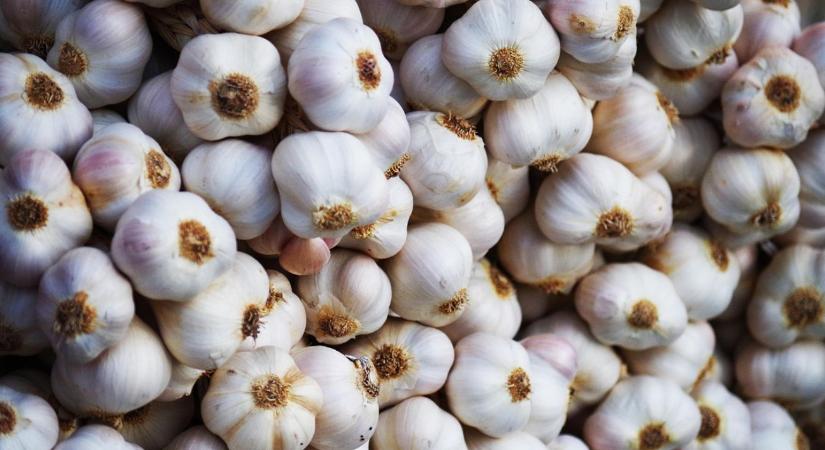 Spanyolország lejtmenetben, Kína uralkodik: átrendeződés a fokhagyma világpiacán