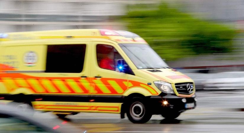 Emberélet múlhat azon, hogy megtesszük-e, ami kötelező lenne