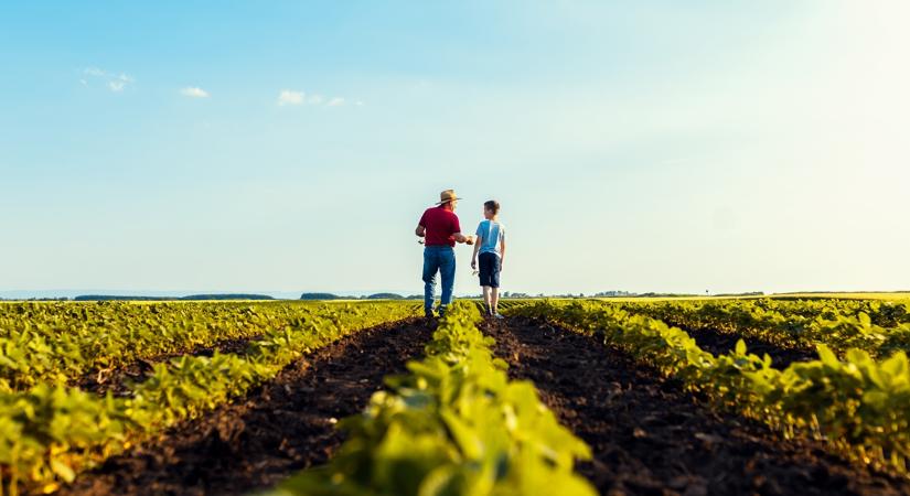 Így kerüld el a jogi hibákat, ha kiskorú is érintett a gazdaságban