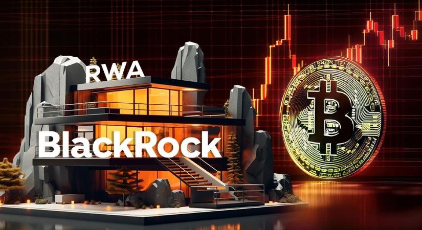 BlackRock igazgató: a tokenizáció lehet a következő nagy trend