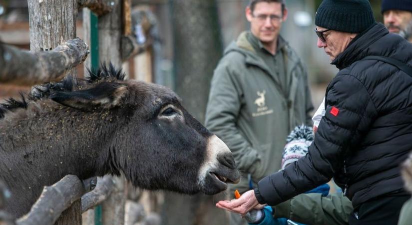 Megrendítő történet áll a Vadaskert jótékonysági napja mögött, a kis Barni gyógyulásáért gyűjtenek