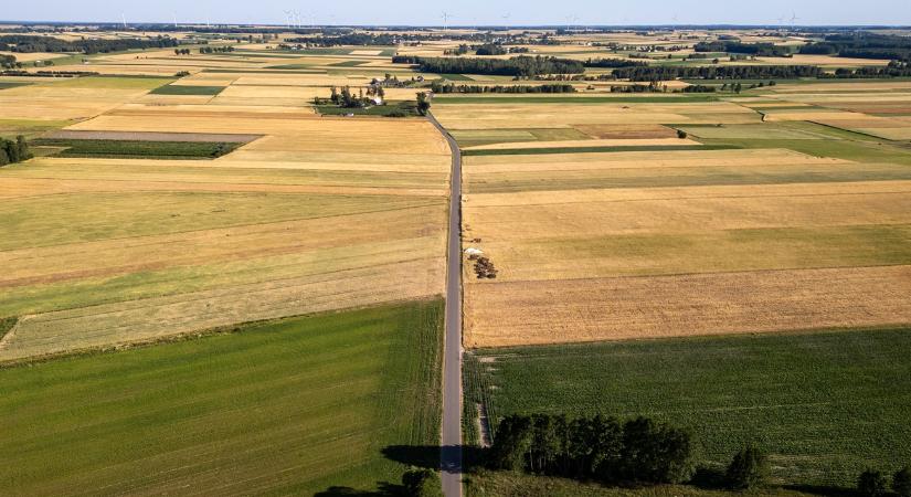 Ahol 14 tonna kukorica is csak a nullszaldóra volt elég