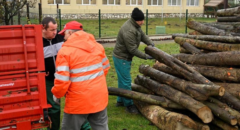 Hatvannyolc településre jut szociális tűzifa Győr-Moson-Sopronban