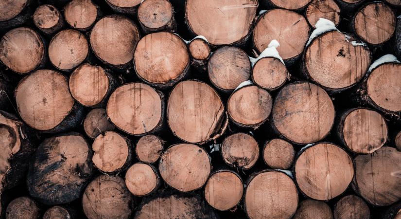 Fontos híreket közölt Nagy István a tűzifaprogramról: ez sok magyart érint