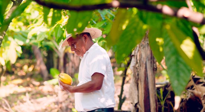 Így akarják megduplázni a bevételüket a brazil gazdák