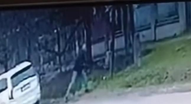 Két kézzel fogta a lábait, és úgy csapkodta több mint egy tucatszor villanyoszlophoz a kutyát egy férfi Abonyban – videó csak erős idegzetűeknek