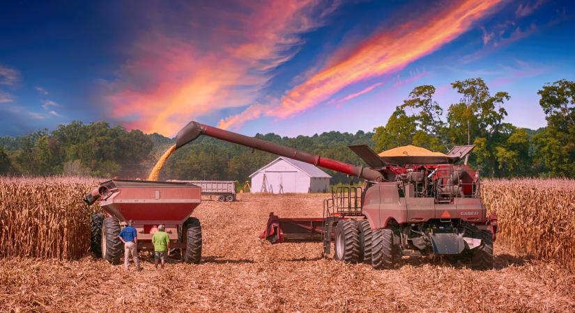 Elkeserítők a III. negyedév GDP adatai