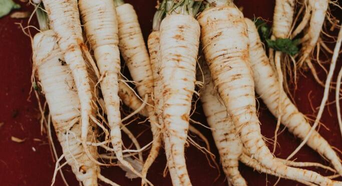 Idén, úgy ahogy már sokéve, továbbra is nyereséges a tormatermesztés