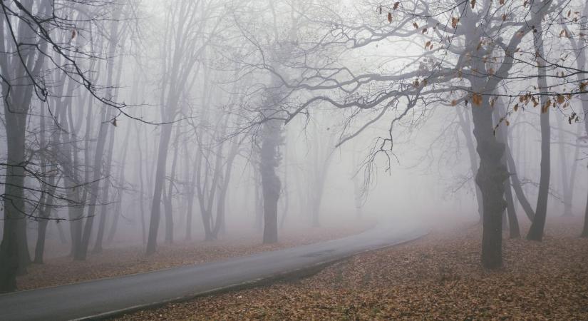 Szinte az orrunkig sem látunk holnap, mutatjuk, mire érdemes készülni