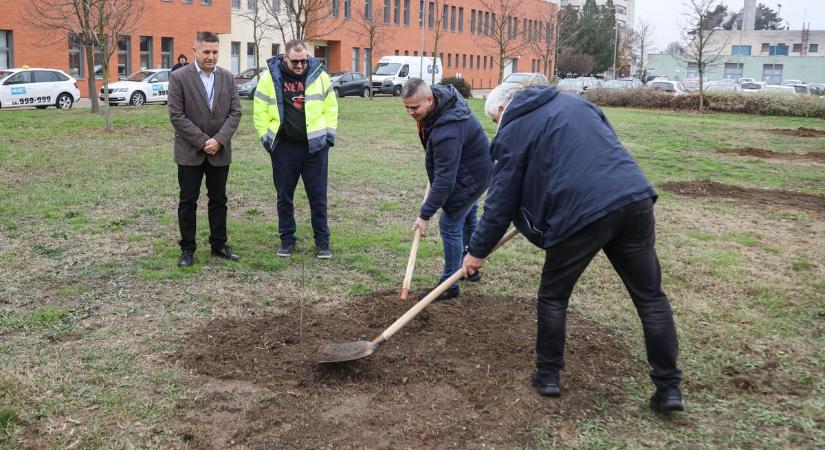 Különleges ajándékkal kedveskedett a szolnoki kórháznak egy helyi cég