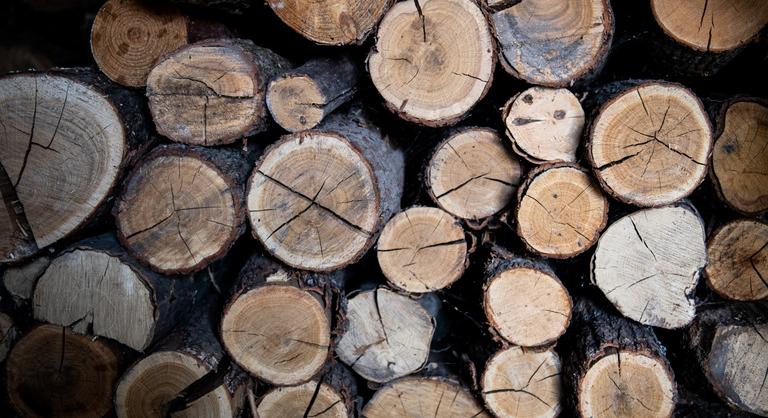 Egyre több család marad hidegben, mert drágul a tűzifa és a kormány nem emeli meg a keretet